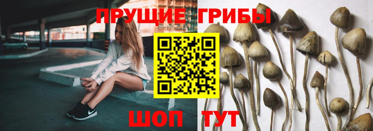 Галлюциногенные грибы ЛСД Калуга